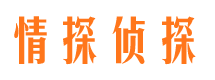 凌河市侦探调查公司